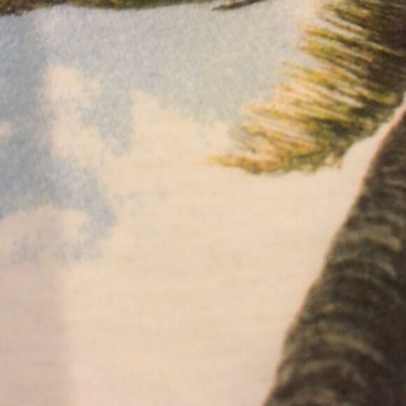 Chrldr “Nevermind” w. Palm Tree White Tank Top - Size S - Picture 6 of 7